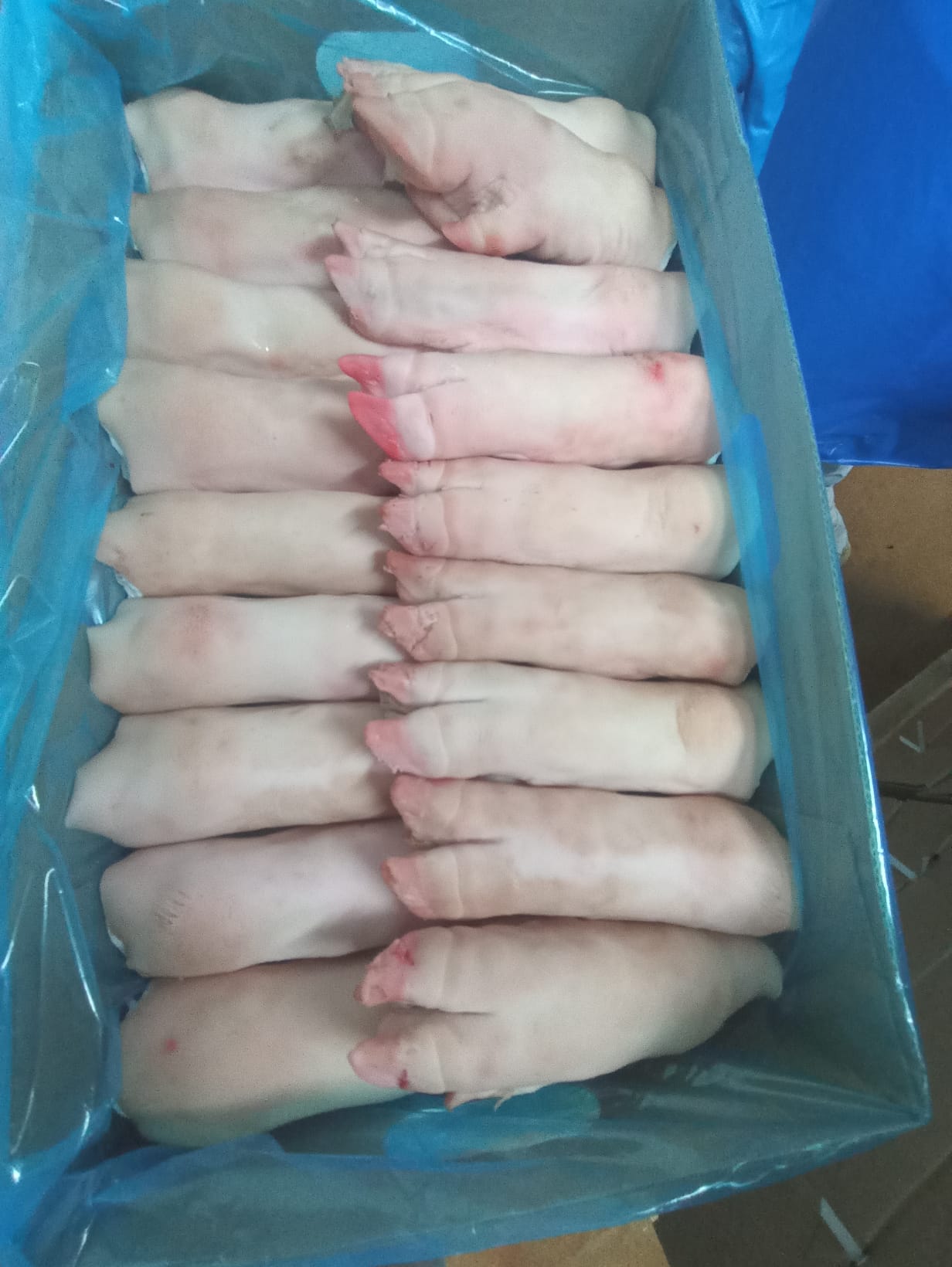 Manos de cerdo