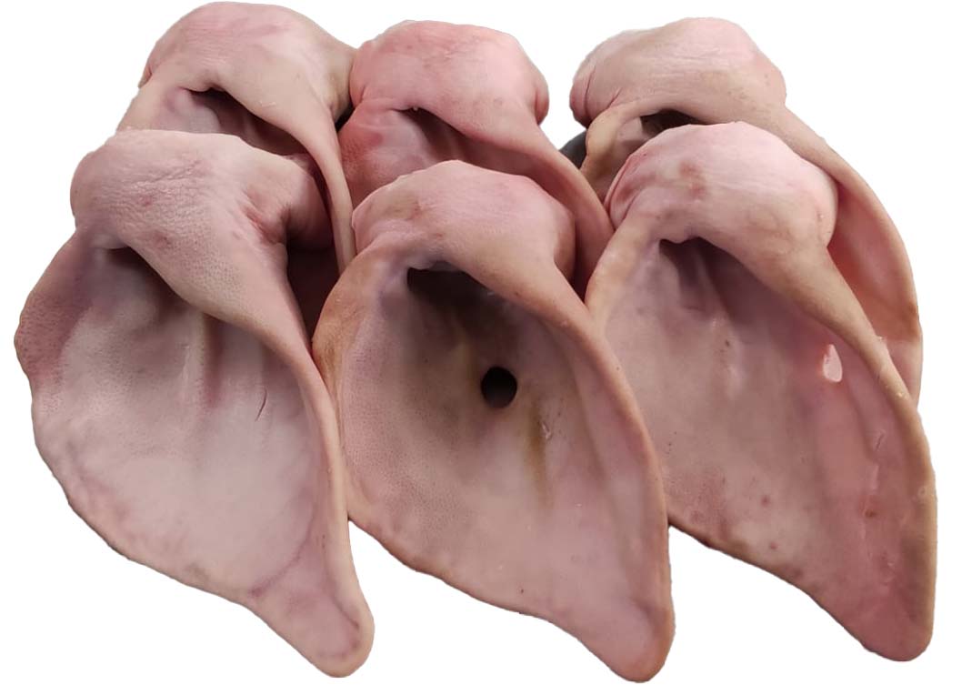 OREJA